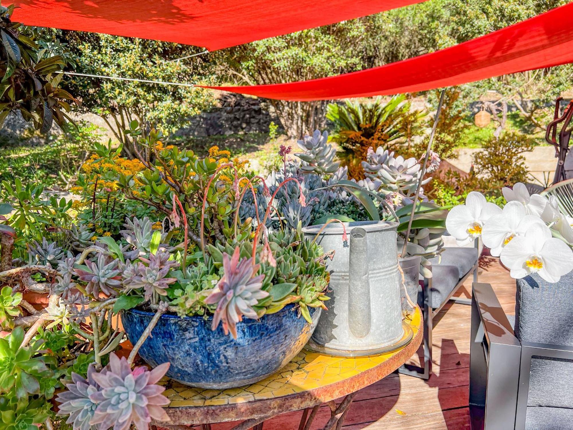 Jardin Des Abeilles - Villa Pool Terrace - By Tgb Ocana Exterior foto
