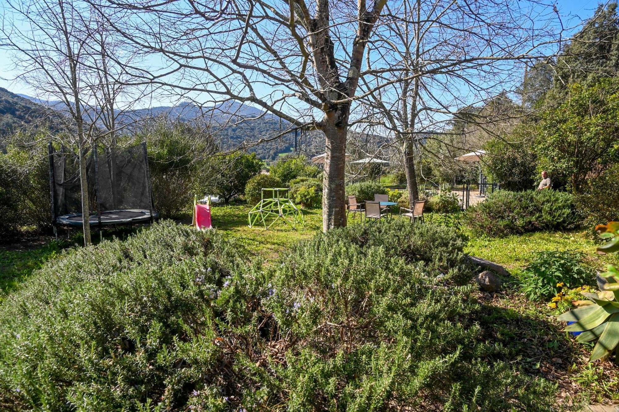 Jardin Des Abeilles - Villa Pool Terrace - By Tgb Ocana Exterior foto
