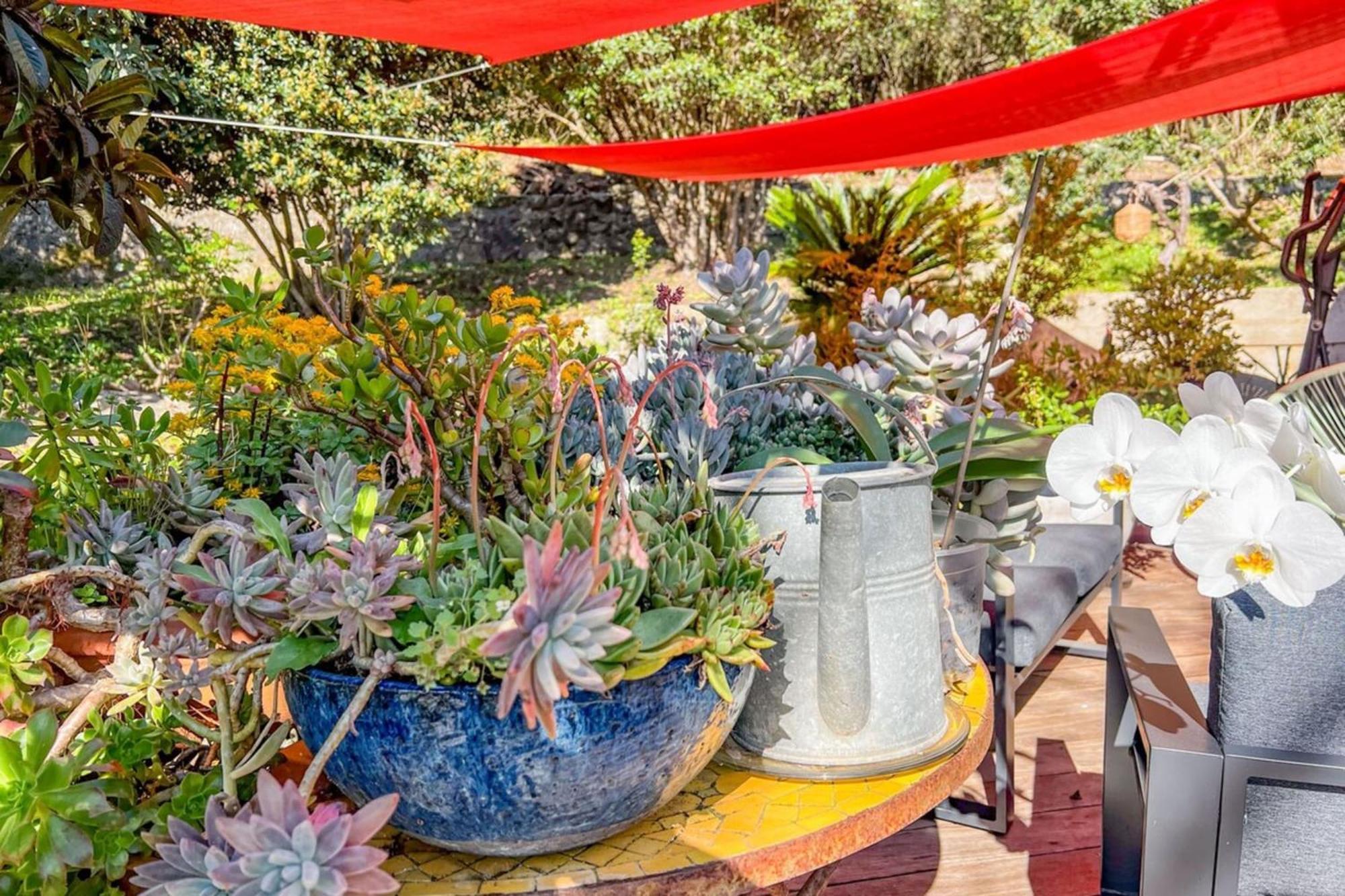 Jardin Des Abeilles - Villa Pool Terrace - By Tgb Ocana Exterior foto